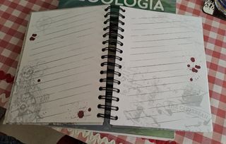 Cuaderno Piratas del Caribe Disney Parks