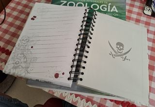 Cuaderno Piratas del Caribe Disney Parks