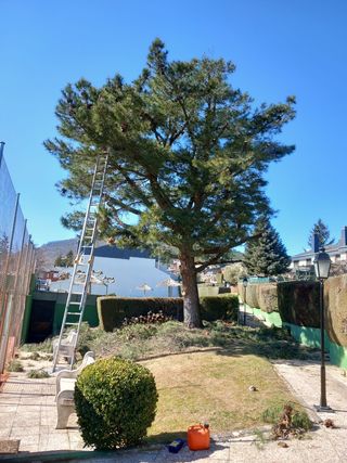 toldos Tejados Jardines Badea