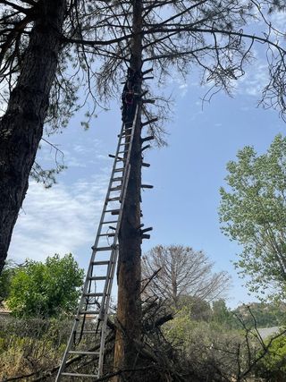 toldos Tejados Jardines Badea