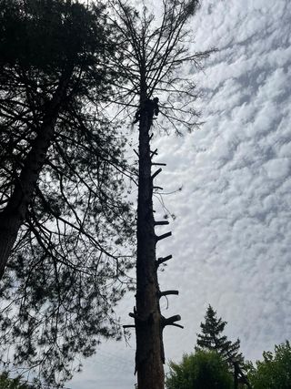 toldos Tejados Jardines Badea