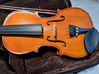 Viola 12"