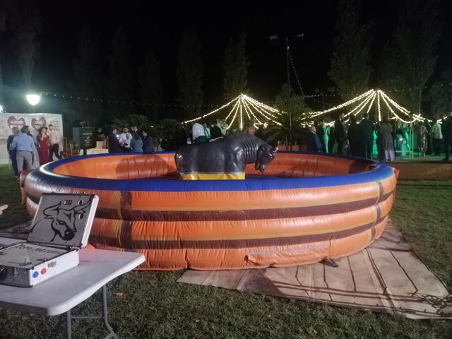 Alquiler Toro mecanico 