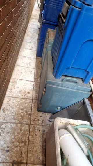 Contenedor isotermo para bandejas gastronorm