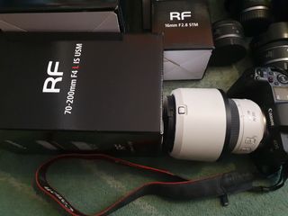 canon eos rf