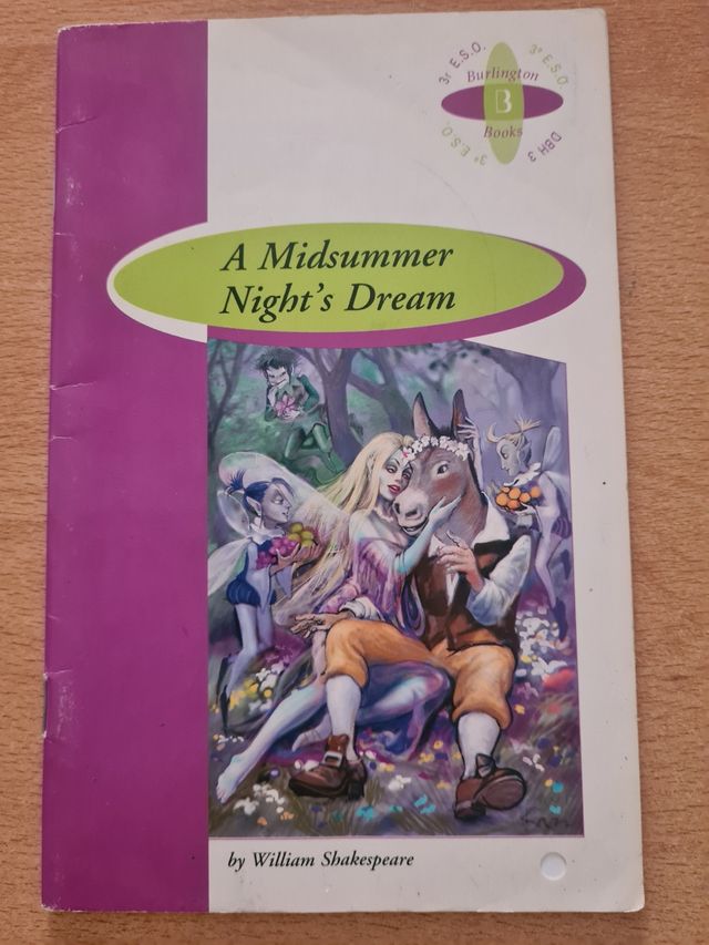 Puzzle sin abrir de Cenicienta 