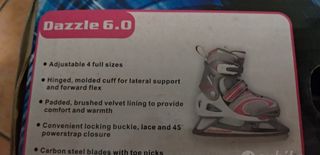 Pattini da ghiaccio regolabili