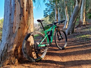 Orbea Oiz m10 2020 (TALLA M)