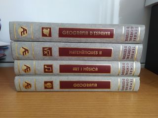 TEMARI GENERAL D'ESTUDIS, CURRÍCULUM CATALUNYA