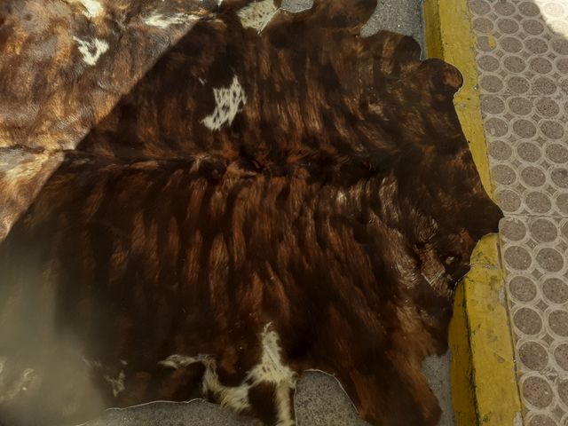 piel de toro las medidas son aproximadas