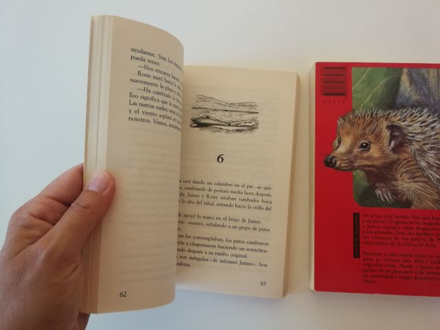 Lote de 3 libros para a partir de 9 años