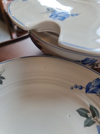 Sopera azules y blanco con plato de presentacion