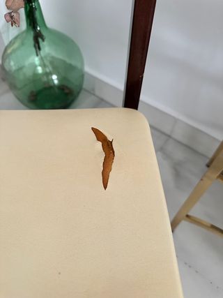 Silla vintage Mocholi original