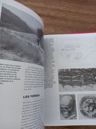 libro Desafío Heleno a Persia