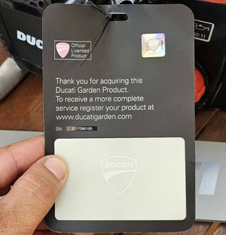 Motosierra DUCATI DCS 6200 62cc/3kw/4hp/50cm/20"