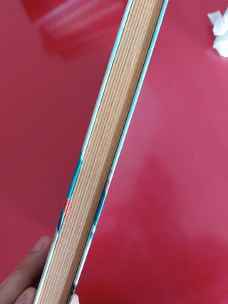 Lo sperduto del labrador