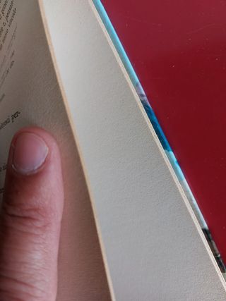 Lo sperduto del labrador