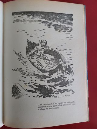 Lo sperduto del labrador