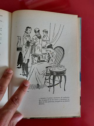 Lo sperduto del labrador