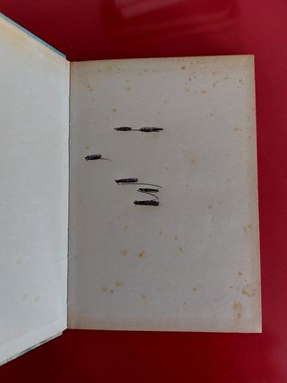 Lo sperduto del labrador