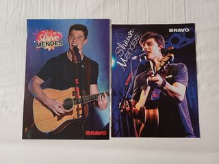 Posters Revista Bravo.