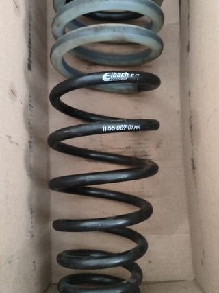 amortiguador y muelle treseros Rx8