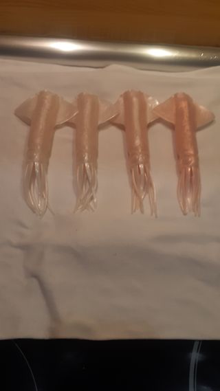 Vinilos de pesca
