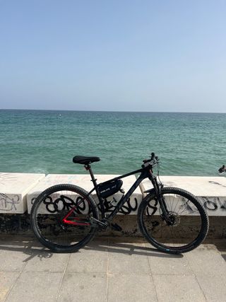 Scott Scale 940 2020. Hardtail Fibra de Carbono