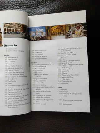 Andalucía I. El viajero