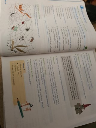 Libro 3 primaria Lengua tres trimestres