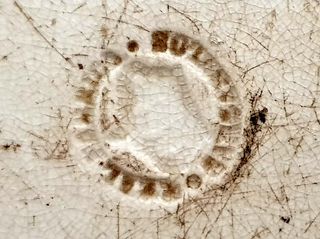 🔰🔰🔰🔰🔰🔰🔰🔰