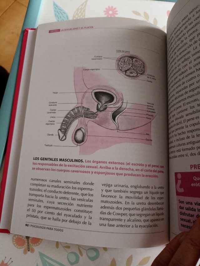 Psicologia para todos - Tomo 1