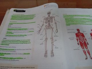 Natural Science 6 Primaria macmillan