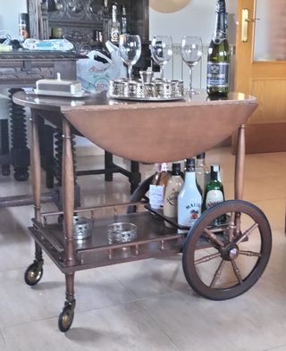 ESPECTACULAR CAMARERA