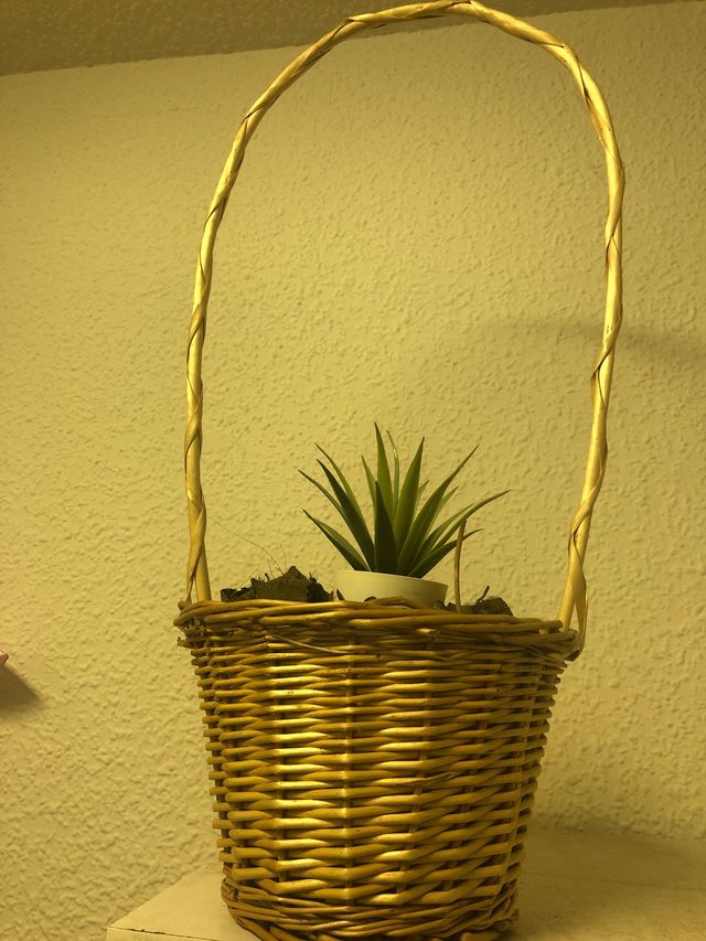 Canasta y bandeja de mimbre