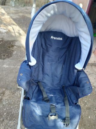 Carrito Prenatal