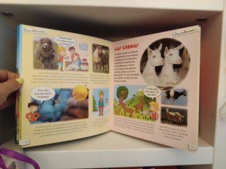 Descubrimos La Granja