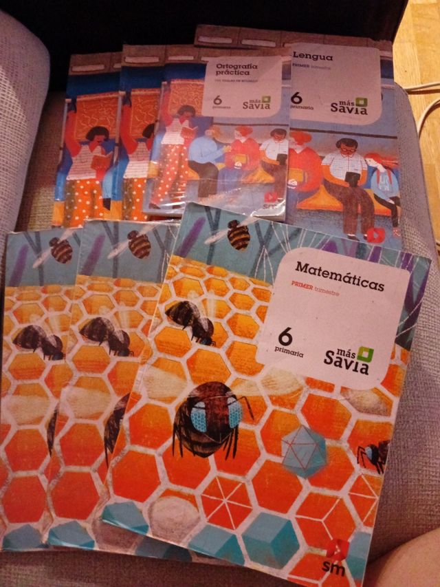 Libros Texto SM más savia 6 primaria