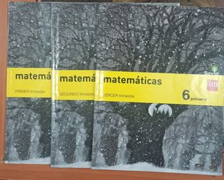 Matemáticas 6 primaria.Savia,sm