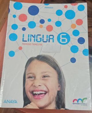 Lingua 6 primaria.anaya