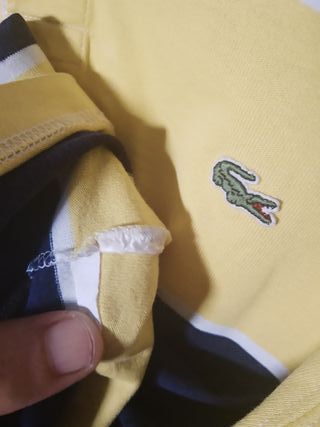 Polo Lacoste Rugby rayas