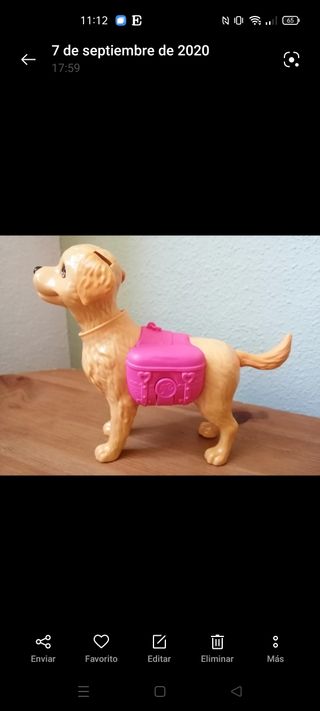 Muñeca Barbie pasea a su perro