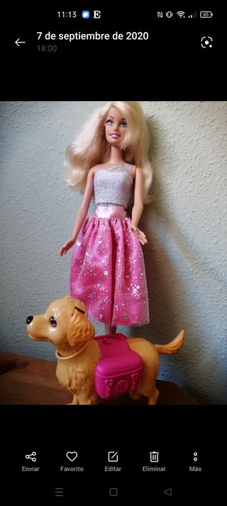 Muñeca Barbie pasea a su perro