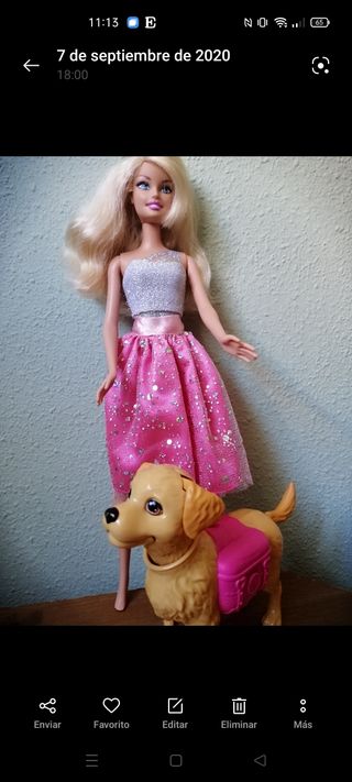 Muñeca Barbie pasea a su perro