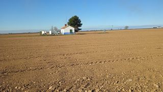 Terreno en carretera Socuéllamos