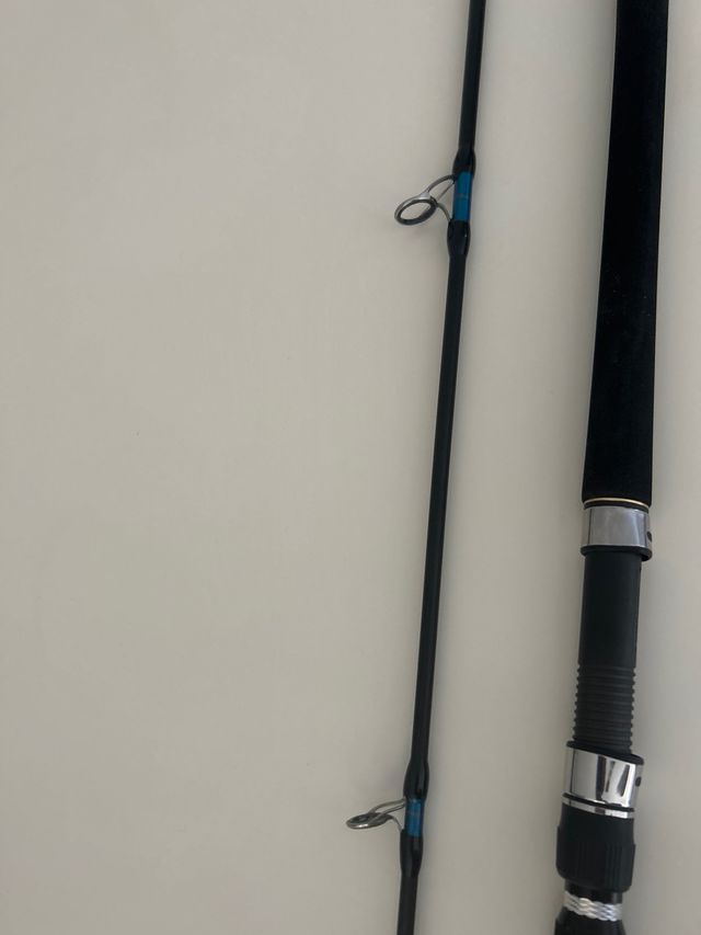 caña spinning barco taiwalk