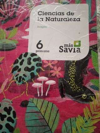 ciencias de la naturaleza 6 Primaria 