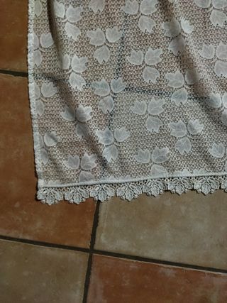 coppia di tendoni con fettuccia e pesi mis 2.60x2.