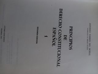Principios del derecho constitucional