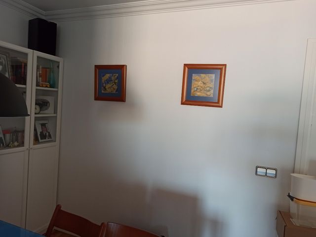 Cuadros de la artista de Palafrugell Rosa Avellí